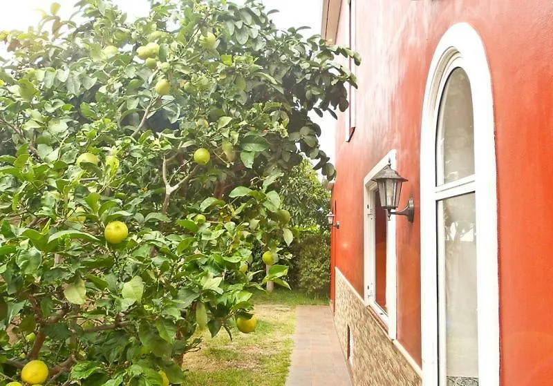 Casa Buganvilla Los Realejos Spain
